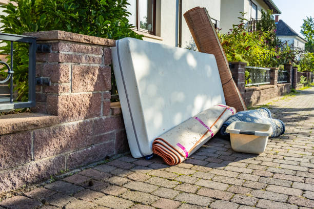 Yard Cleanup Services in Louisville, GA